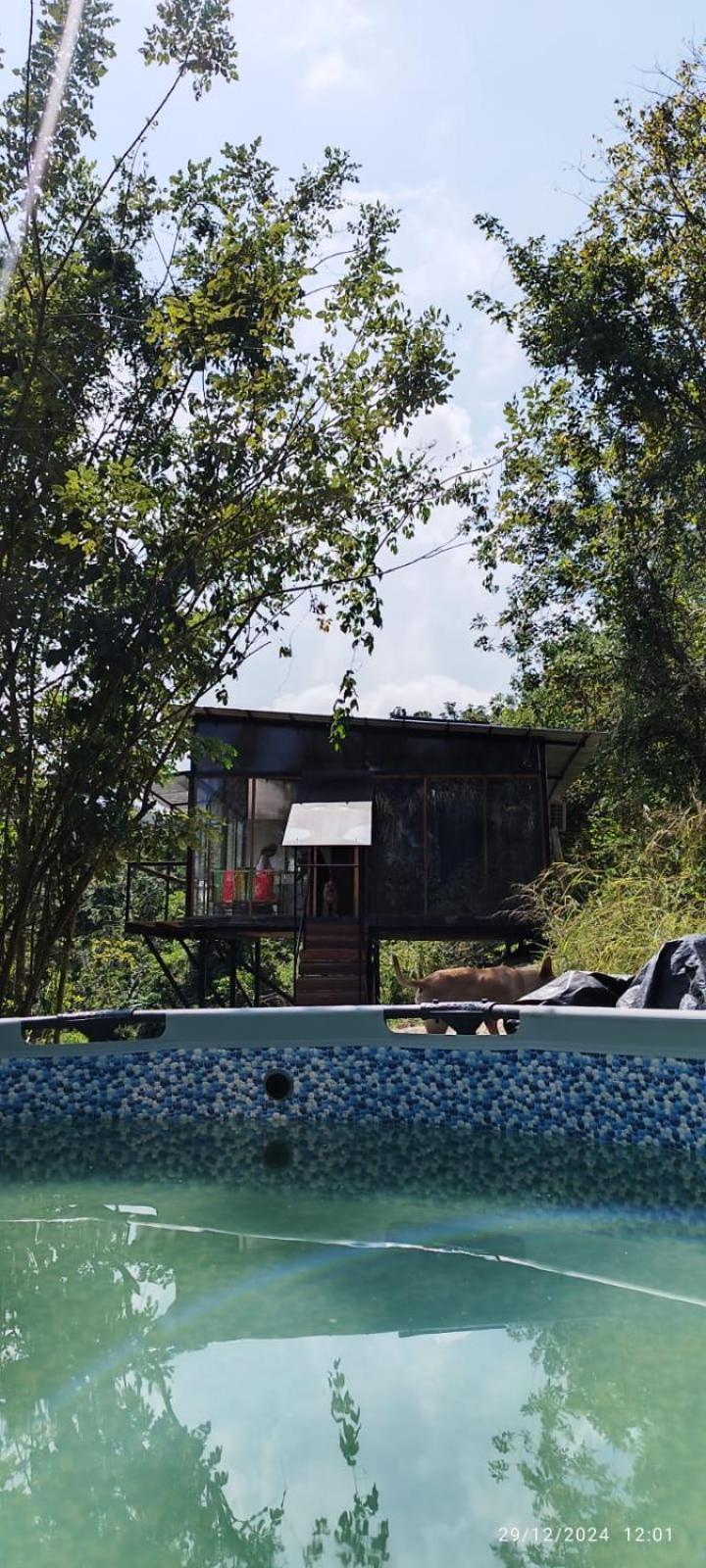 Minkaway Glamping 2 Chalet